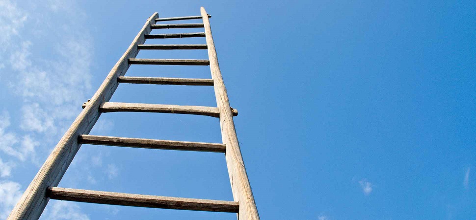 Marketing Team & Value Ladder
